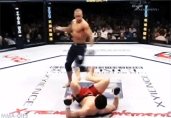 [IMAGE:https://i.ibb.co/n6yvCBk/axe-kick.gif]