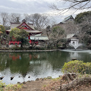 IMG-2651