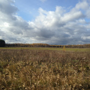 IMG-4356