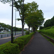 P1340920