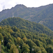 DSC-6910