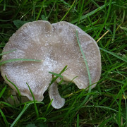 DSC00027