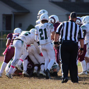 IMG-4460
