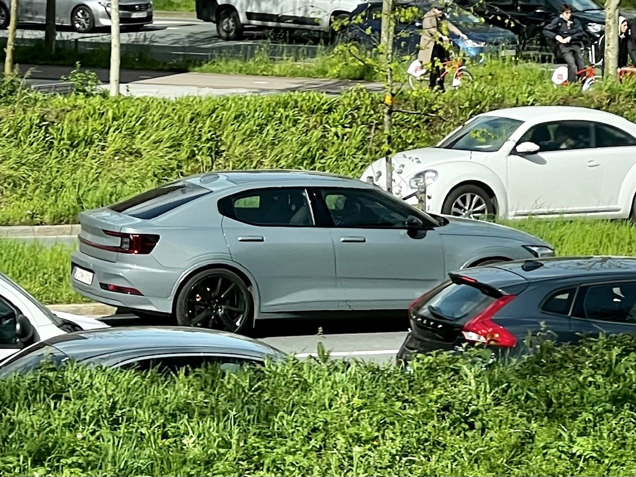 spot202440.jpg