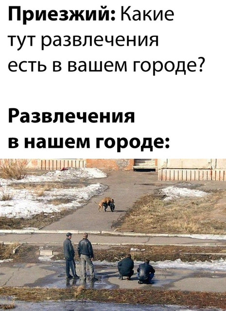 bkt-LTn8-BSUk" border="0