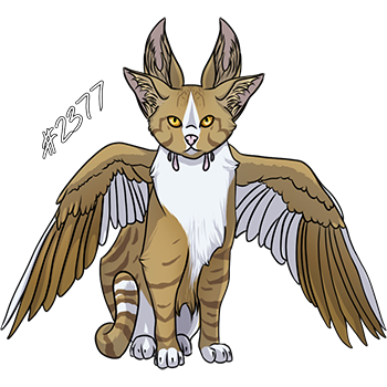 Pet Image