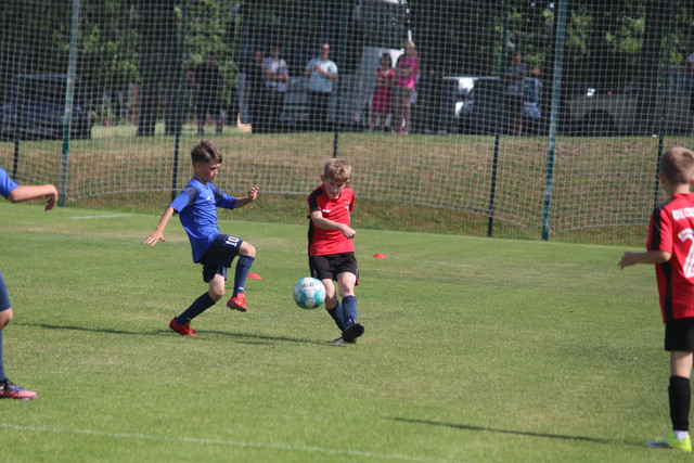 IMG-4538