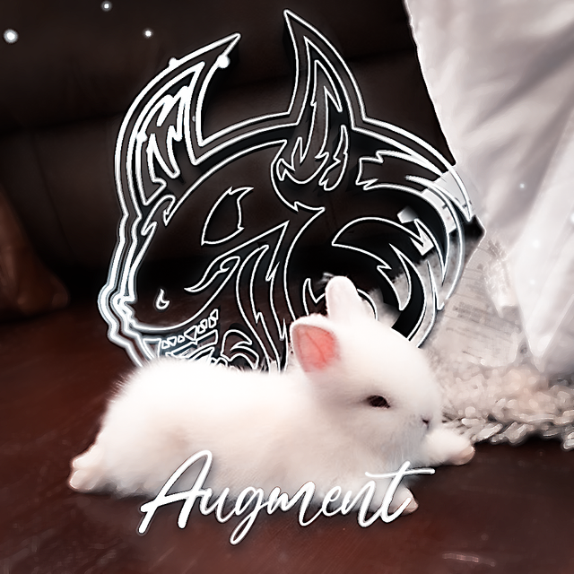 augment.png