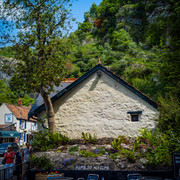 L1013481