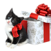 Tubecadeauchatde-Noel