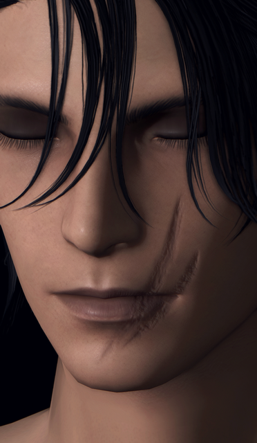 Face Scar26.png