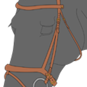 suitset1 1 2