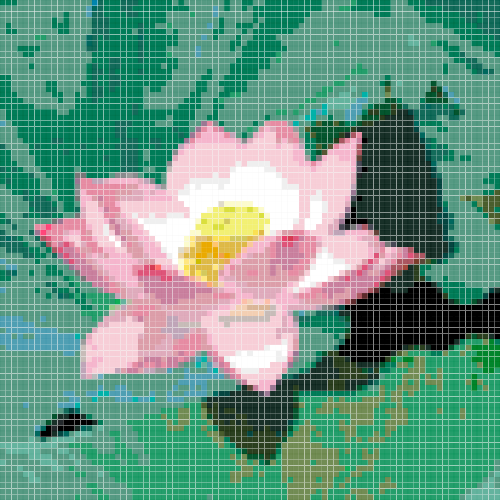 Full-Bloomed Pink Lotus Pixel Art Perler Bead Patt