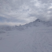 IMG-20230206-125108