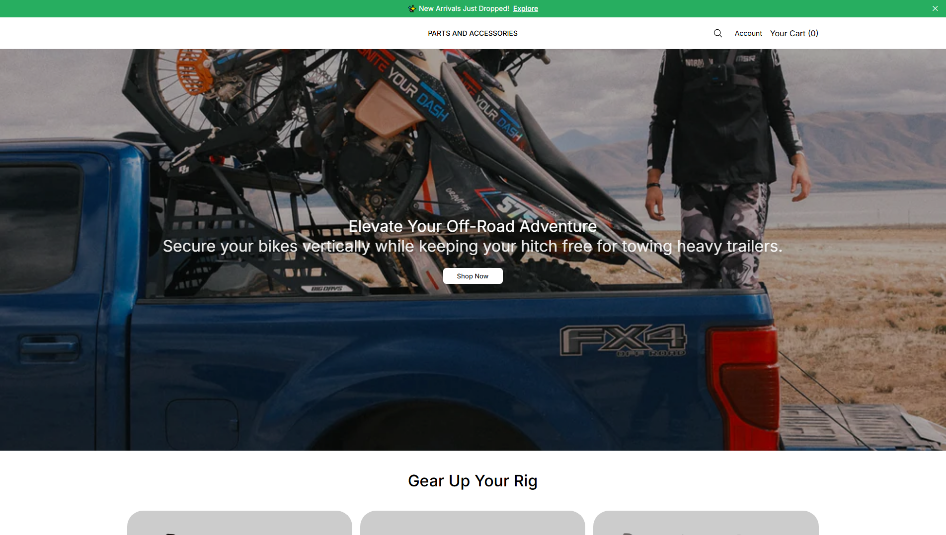 Primary capture · bigrigs.shop