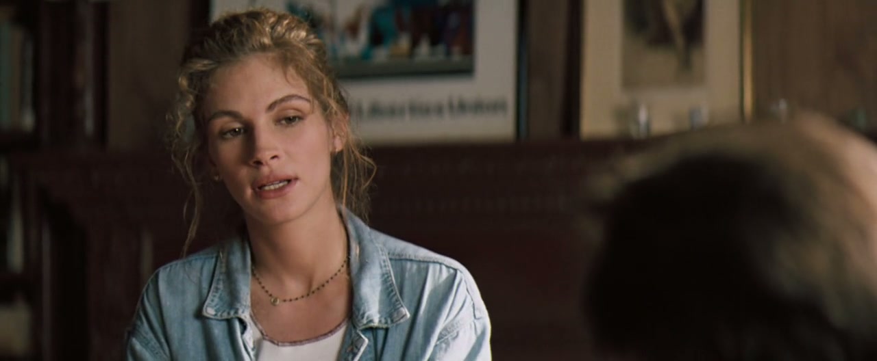 The Pelican Brief Screenshot
