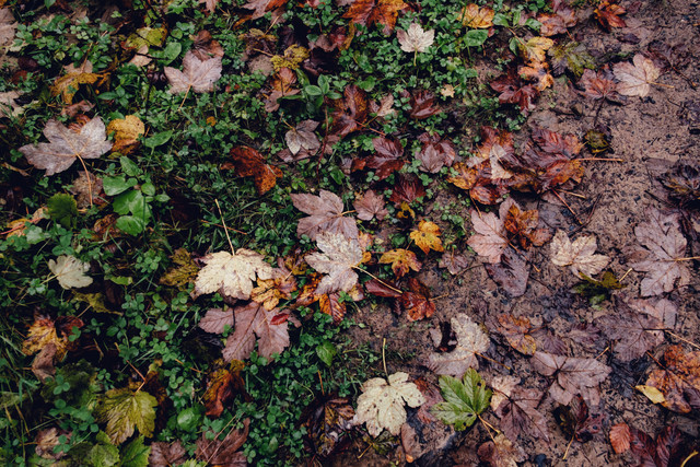 DSCF7968 копия