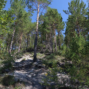 IMG 0354