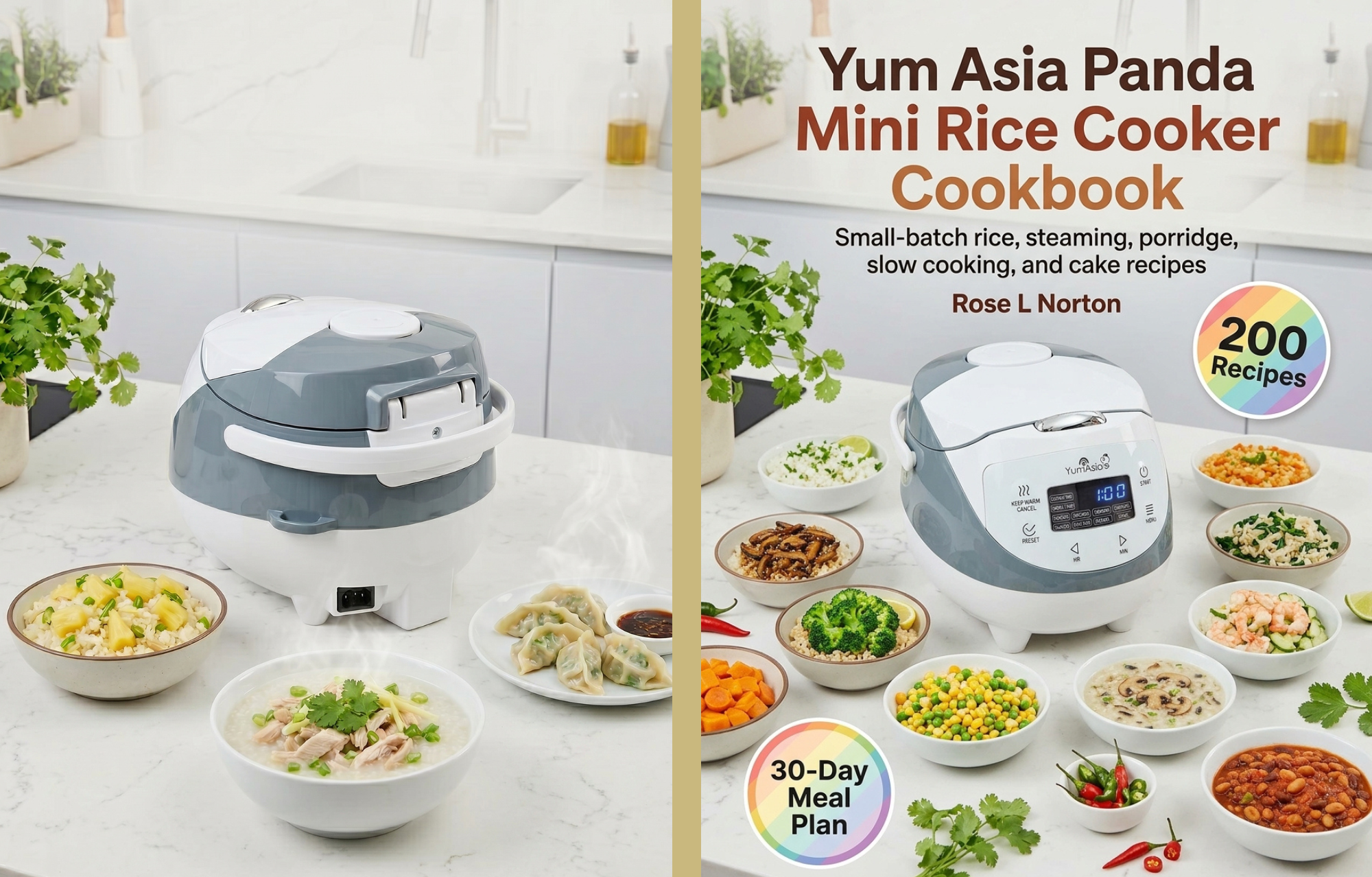 Yum Asia Panda Mini Rice Cooker Cookbook cover