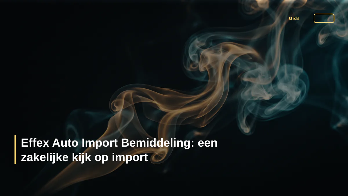 Effex Auto Import Bemiddeling: een zakelijke kijk op import