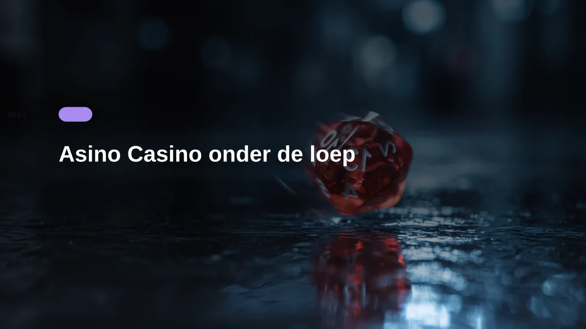 Asino Casino onder de loep