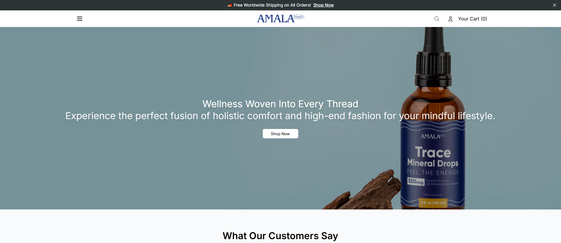 Stored capture of amaly.shop
