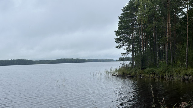 IMG 4656.jpg