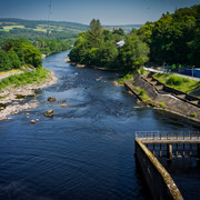 L1461350