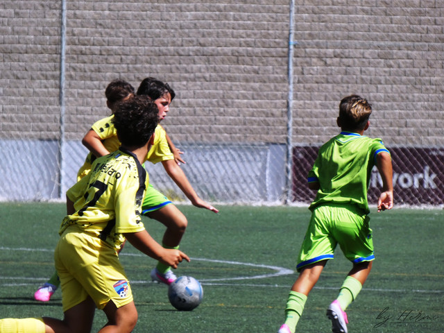 P1020544 by Hermi.jpg