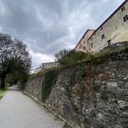 IMG-2233