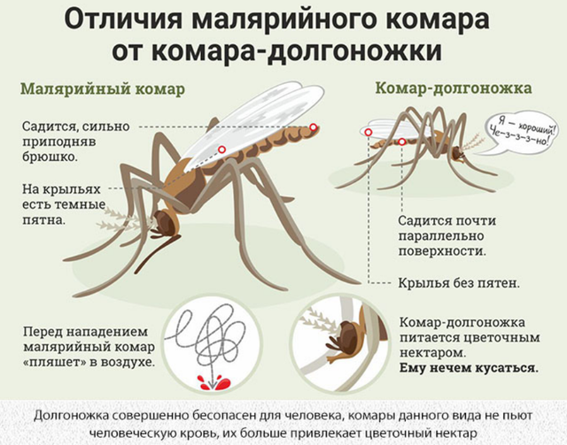 https://i.ibb.co/n8VF06wG/Screenshot-4.png