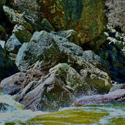 DSC01263