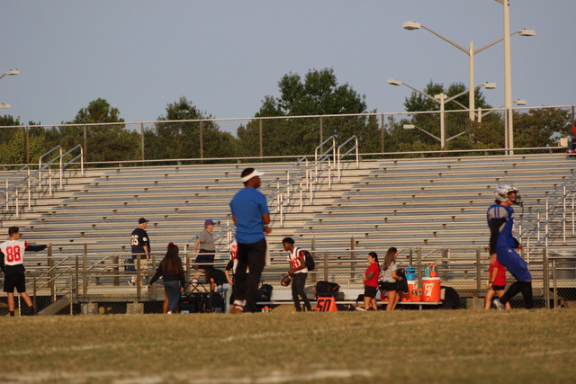 IMG-0153