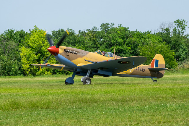 IMGP9205 2.jpg