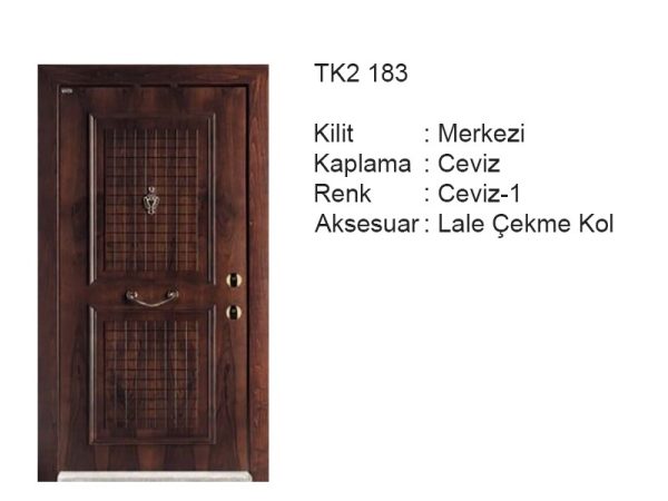 Steel door TK2 183