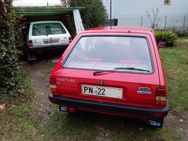 i.ibb.co/n8cbfmVy/fiesta504.jpg