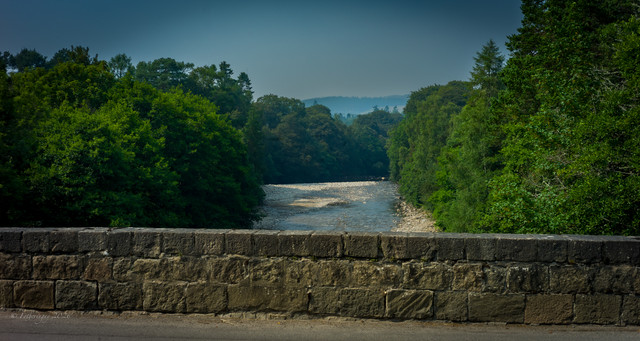 L1461408.jpg