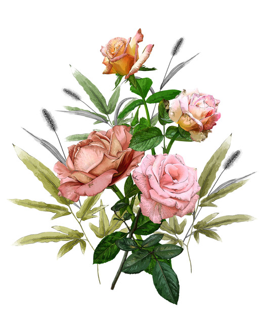 shutterstock 1686564904.jpg