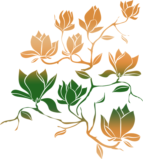 bc750677e313fee08f415f140037550c.png