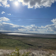 IMG 0407