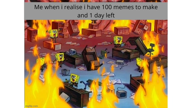 [Image: 020MEME.png]