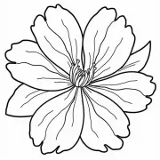 5a05db29756124464b3df2e481a65666