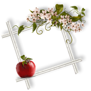 cluster-frame-384