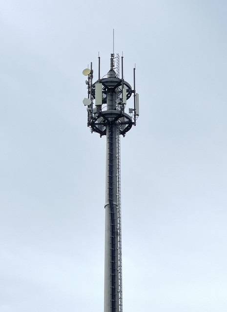IMG 7478