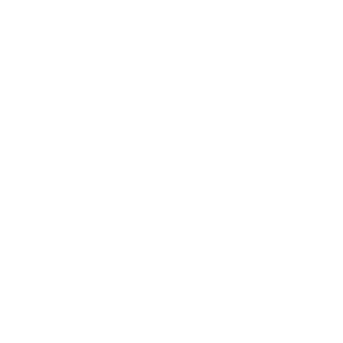 SkillForgeX