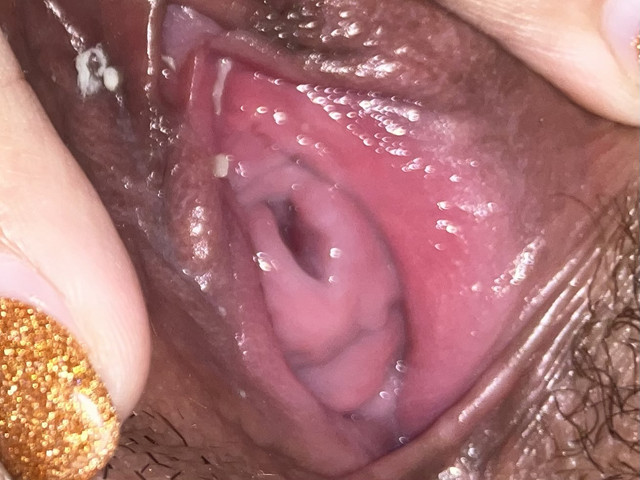 IMG 1642