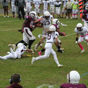IMG-0353