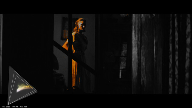 gamut-APOC038