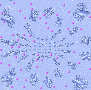 81a0c49c8ff5