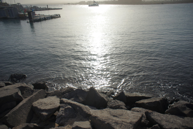 DSC01059.jpg